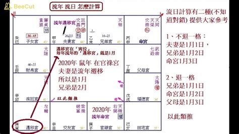 流月查詢|如何正確理解紫微斗數流月，輕鬆掌握你的運勢走向